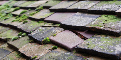 Beamond End roof repair costs